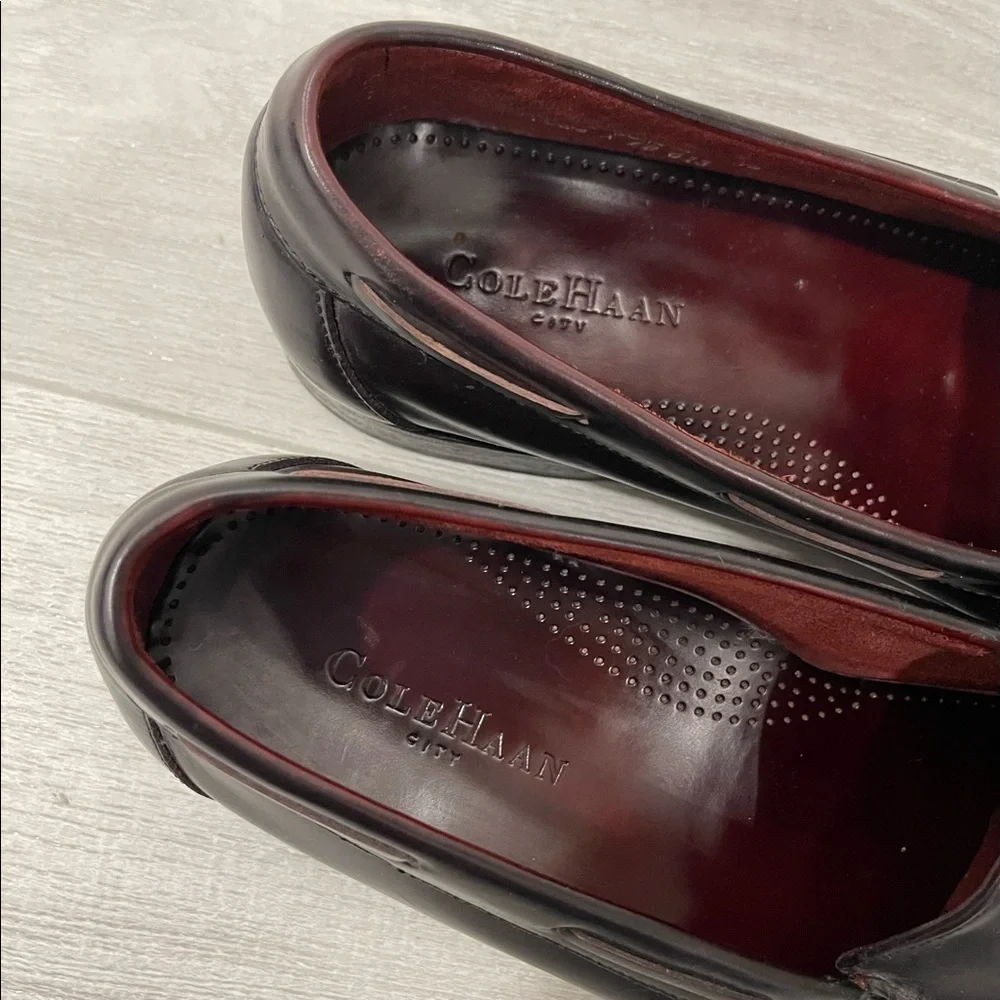 Cole Haan Pinch Grand Tassel Slip-On Loafer Moccasin Burgundy Leather 10.5